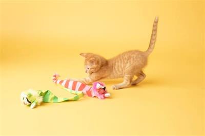 Fat Cat Tailchaser Kedi Otlu Kuyruklu Peluş Kedi Oyuncağı