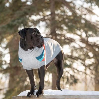 GF PET Alpine Köpek Süveteri - Gri