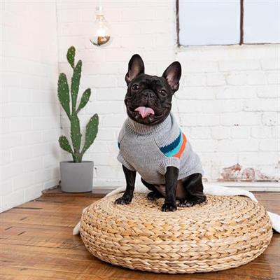 GF PET Alpine Köpek Süveteri - Gri