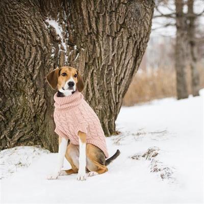 GF PET Chalet Köpek Süveteri - Pembe