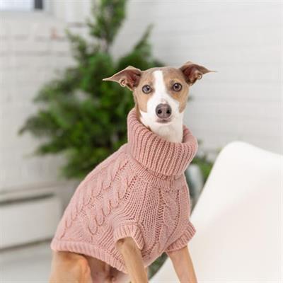 GF PET Chalet Köpek Süveteri - Pembe
