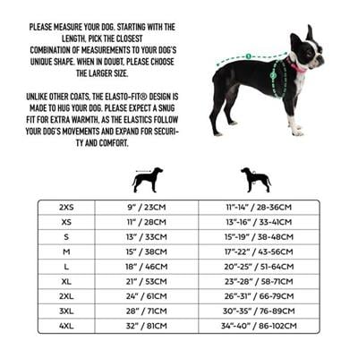 GF PET Çift Taraflı Köpek Yağmurluğu - Aqua