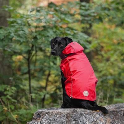GF PET Çift Taraflı Köpek Yağmurluğu - Kırmızı