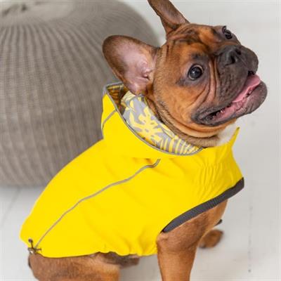 GF PET Çift Taraflı Köpek Yağmurluğu - Sarı