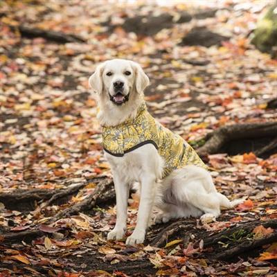 GF PET Çift Taraflı Köpek Yağmurluğu - Sarı