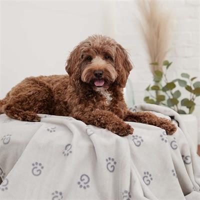 GF Pet Ekstra Yumuşak Köpek ve Kedi Battaniyesi - Gri