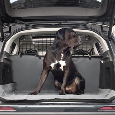 GF PET Evcil Hayvan Araba Koltuk Kılıfı (Cargo)