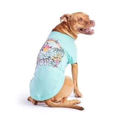 GF Pet Graphic Tee Köpek Tshirt - Aqua