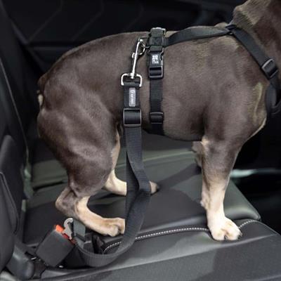 GF Pet Köpek Emniyet Kemeri