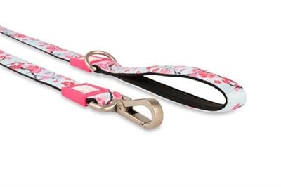 Max & Molly Cherry Bloom Köpek Gezdirme Kayışı