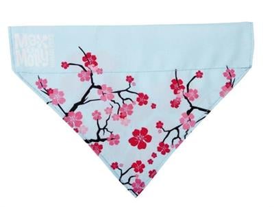 Max & Molly Cherry Blossom Bandana