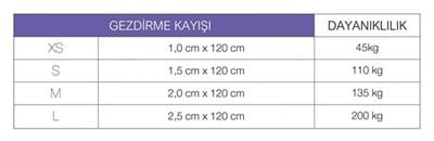 Max & Molly Matrix Orange Köpek Gezdirme Kayışı
