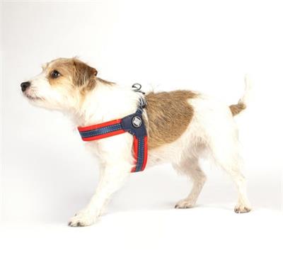 Max & Molly Matrix Red Q-Fit Köpek Göğüs Tasması