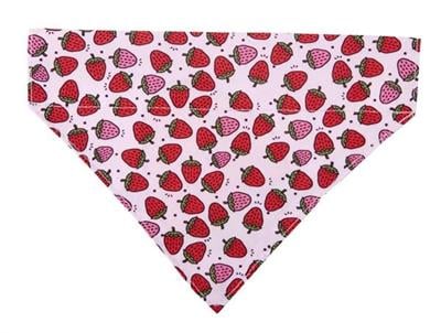 Max & Molly Strawberry Dream Bandana