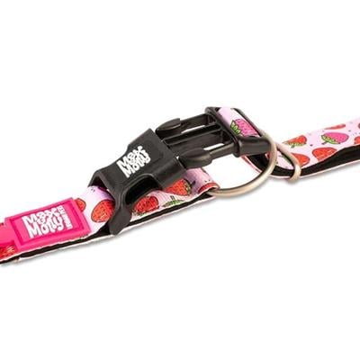 Max & Molly Strawberry Dream Smart ID Köpek Boyun Tasması