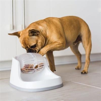 Petmate Diggin Diner Eğlenceli Yavaş Yeme Mama Kabı