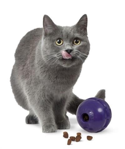 Petmate Kedi Otu Hazneli Ödül Topu