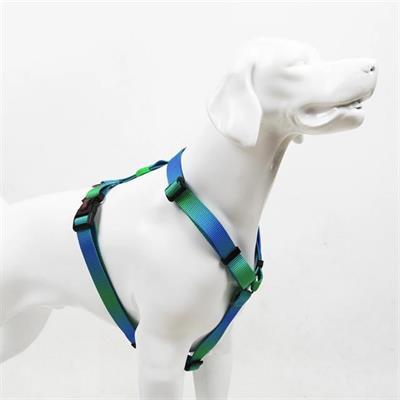 Tailpetz Amazon H-Harness