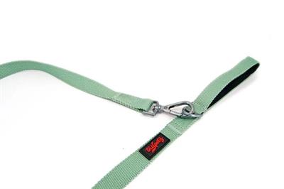 Tailpetz Match Leash Moon Yeşil
