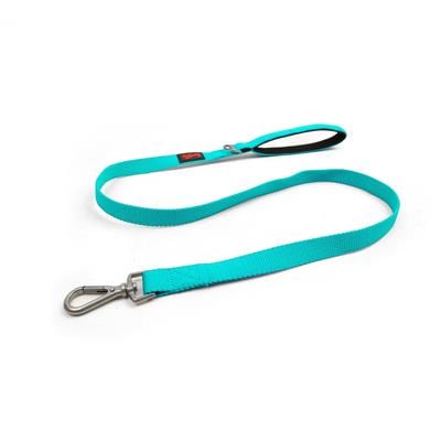 Tailpetz Match Leash Ocean