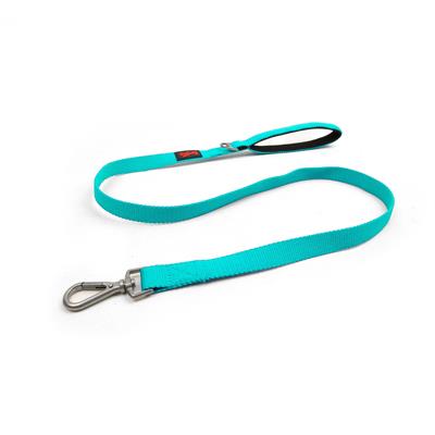 Tailpetz Match Leash Ocean