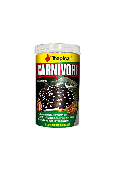 Tropical Carnivore