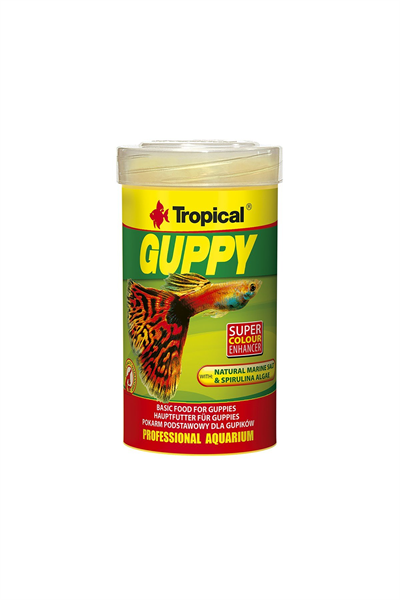Tropical Guppy Pul Yem
