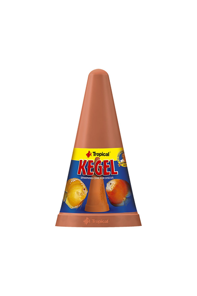 Tropical Kegel