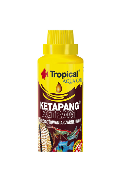 Tropical Ketapang