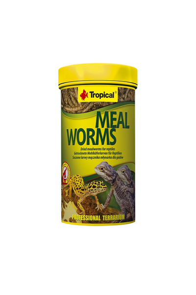 Tropical Meal Worms 250ml/30Gr
