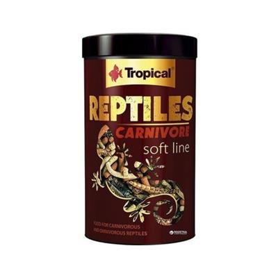 Tropical Reptiles Carnivore Soft