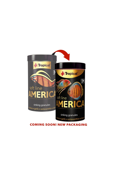 Tropical Soft Line America Size M 100ml/60Gr