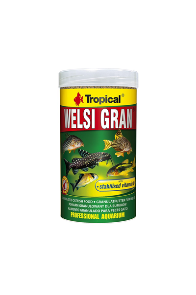Tropical Welsi Gran