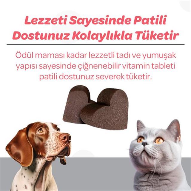 Vet's Plus Senior Yaşlı Kedi ve Köpekler İçin İnülin ve Glukozaminli Çiğnenebilir Tablet (60'lı)