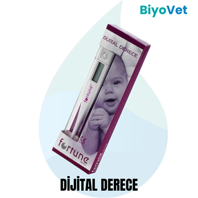 DİJİTAL DERECE