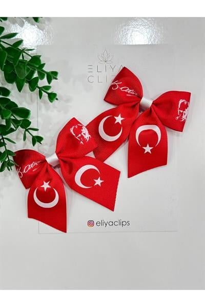 2-adet-turk-bayrak-kirmizi-ataturk-imz-dec03b.jpg