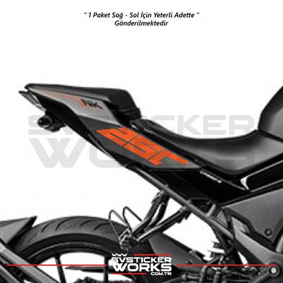 CFMOTO 250NK Sticker Arka Kuyruk Üzeri Sağ Sol 250 Yazısı 