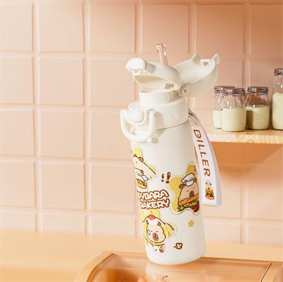 DILLER 600 ML PASLANMAZ ÇELİK TERMOS