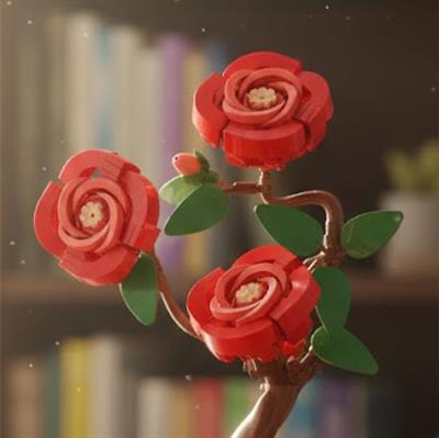 JAKİ GÜL MODELİ 262 PARÇA BLOCK OYUNCAK