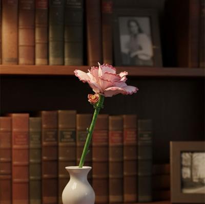 PANLOS KARANFİL 49 PARÇA  BLOCK OYUNCAK