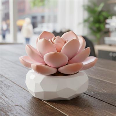 PANLOS MONROE SUKULENT MODEL 86 PARÇA BLOCK OYUNCAK