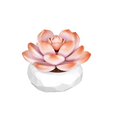 PANLOS MONROE SUKULENT MODEL 86 PARÇA BLOCK OYUNCAK