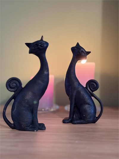 2li Dekoratif Kedi Biblo Seti – Mat Siyah (21x11 cm)