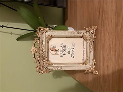 Antik Dekoratif Fotoğraf Çerçevesi – Vizon & Eskitme Altın (13x18 cm)