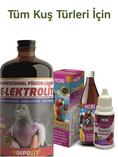 Marketis Kuş Gelişim ve Bakım Seti 4LÜ (Tüy, Üreme E Vitamini, Aminovit-B, Elektrolit)