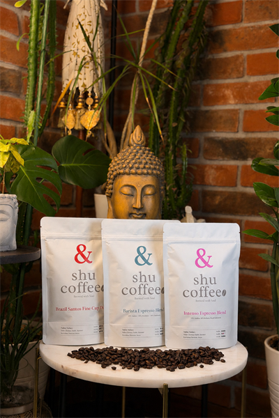 The Power Set 600 gr Çekirdek Kahve (Brazil Santos Fine Cup Dulce 200 gr / Barista Espresso Blend (40% Santos 30% Honduras 30% Guatemala) 200 gr / Intenso Espresso Blend (50% Arabica 50% Robusta) 200 gr)