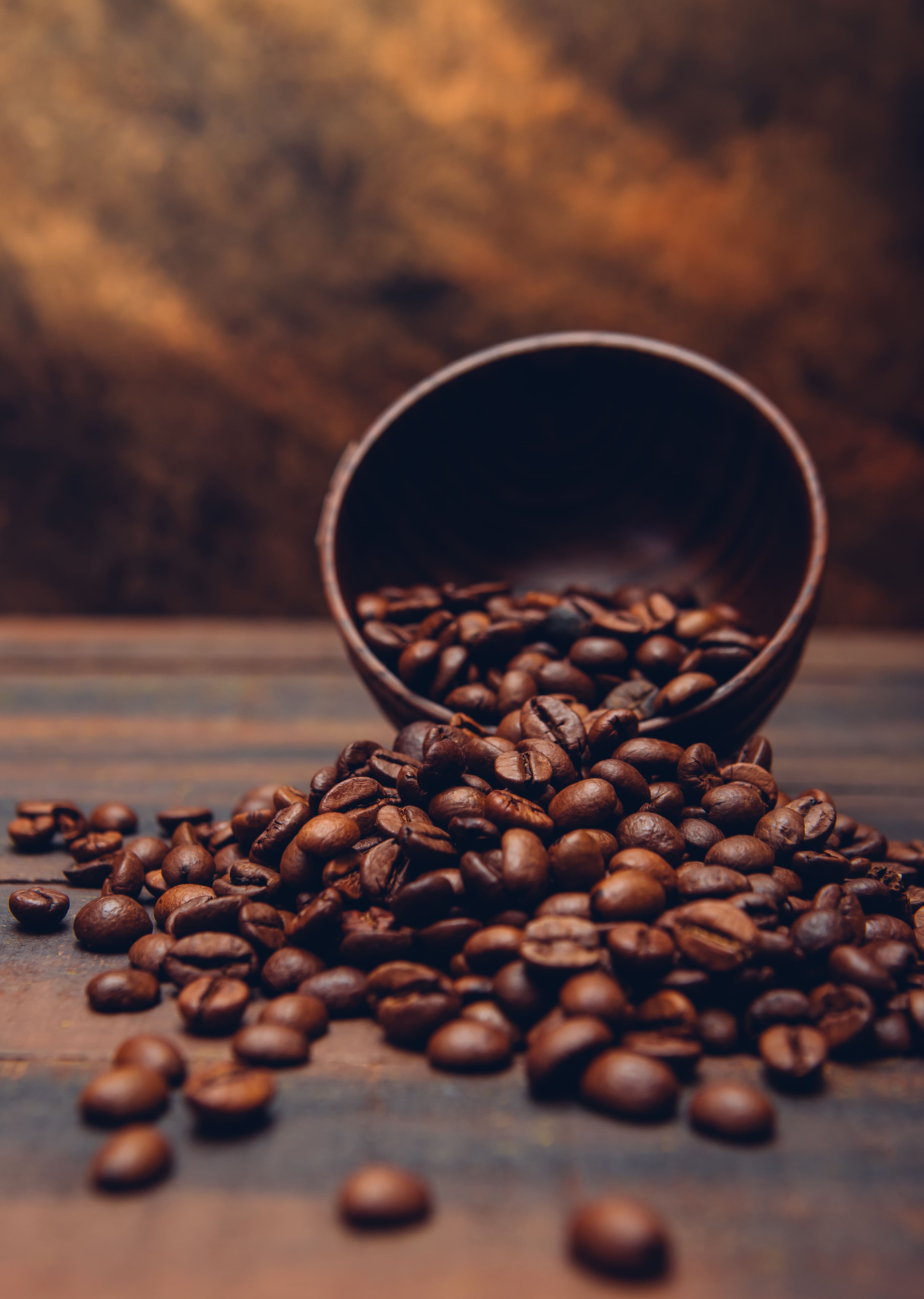 Shu Coffee görsel 2