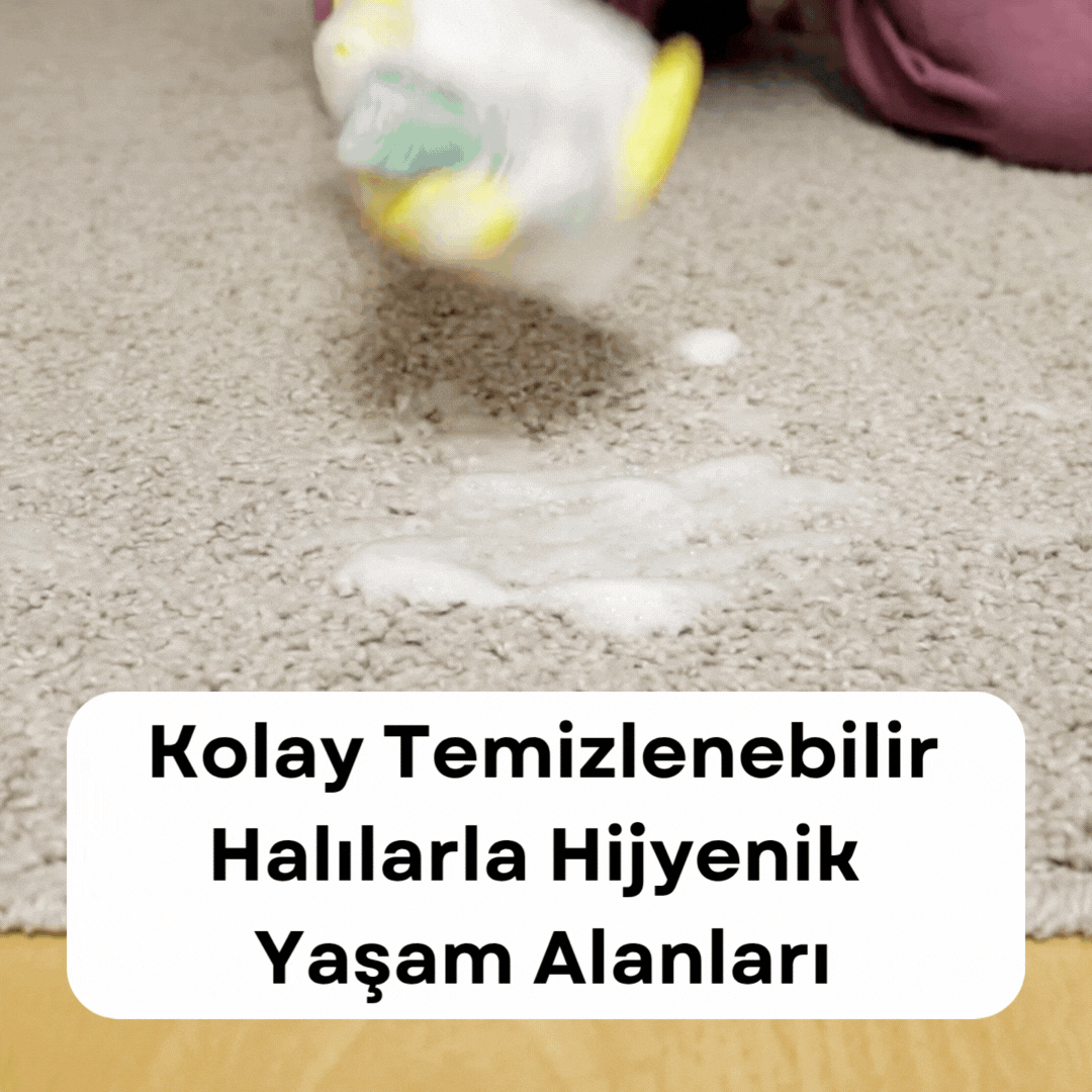 Kolay Temizlenebilir Halılarla Hijyenik Yaşam Alanları