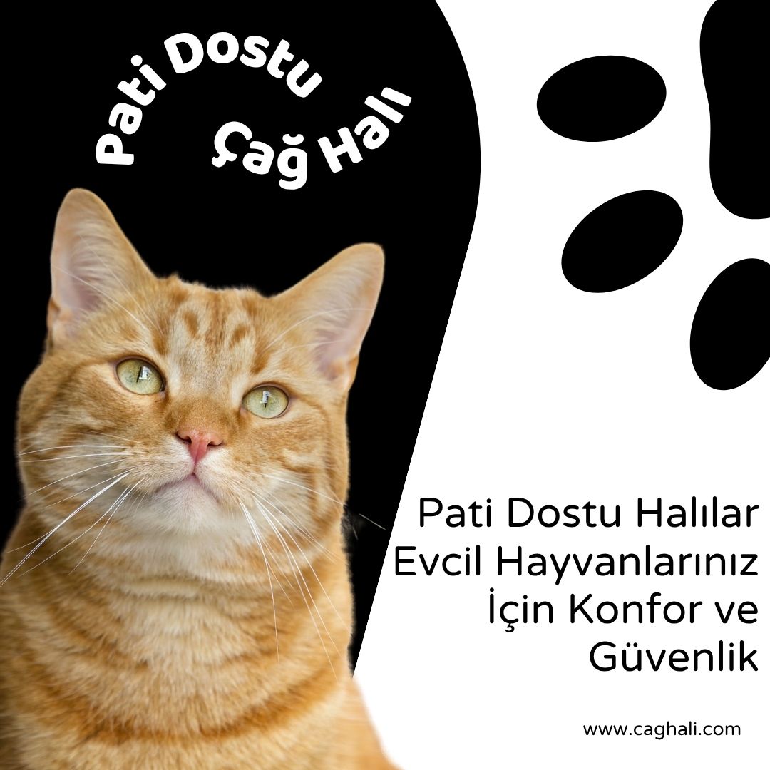 Pati Dostu Halılar: Evcil Hayvanlarınız İçin Konfor ve Güvenlik
