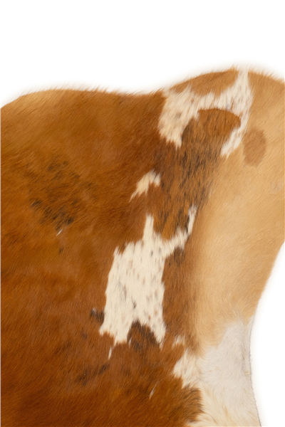 Taba-Beyaz Savanna Rodeo Dana Derisi Post Halı